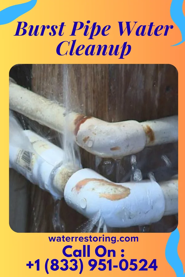 Burst Pipe Water Cleanup in Rocky Ridge, OH