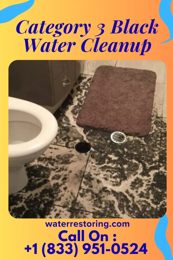 Category 3 Black Water Cleanup in Rocky Ridge, OH
