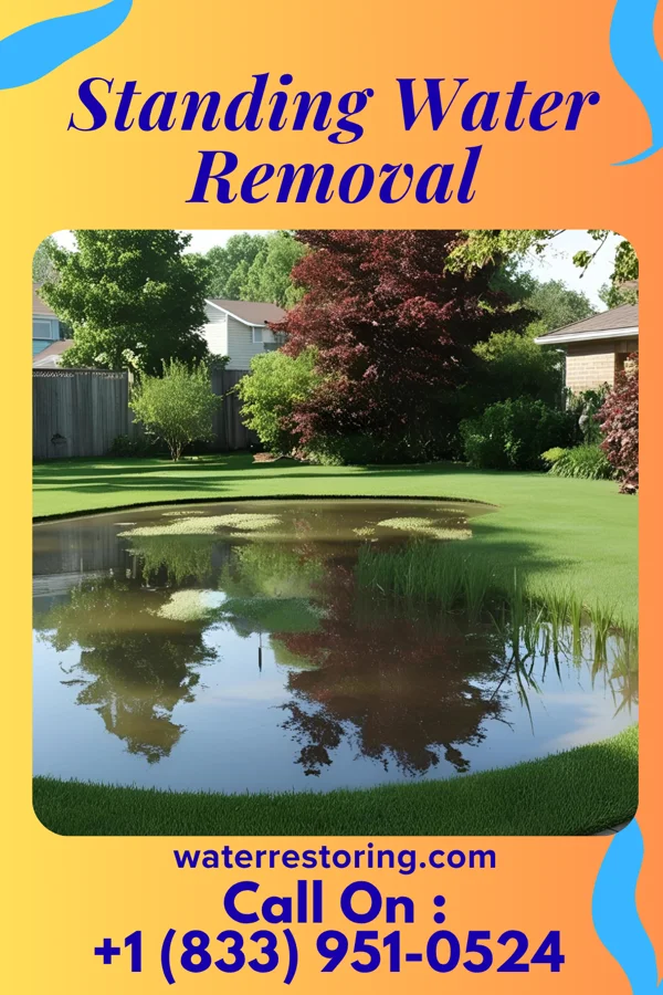 Standing Water Removal in Rocky Ridge, OH